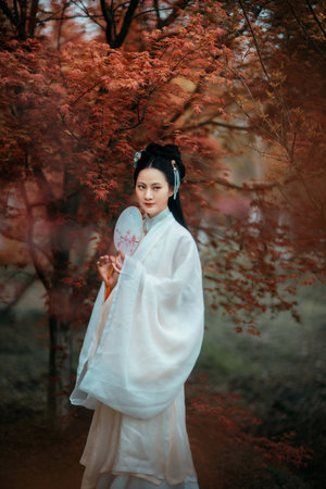 完美世界在线观看免费播放